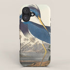 Louisiana Heron, Robert Havell after John James Audubon iPhone Case Gallery Image 1