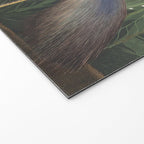 Louisiana Heron, Robert Havell after John James Audubon Welcome Mat Gallery Image 2
