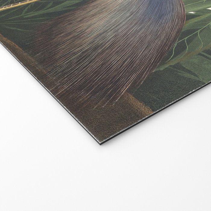 Louisiana Heron, Robert Havell after John James Audubon Welcome Mat Gallery Image 2