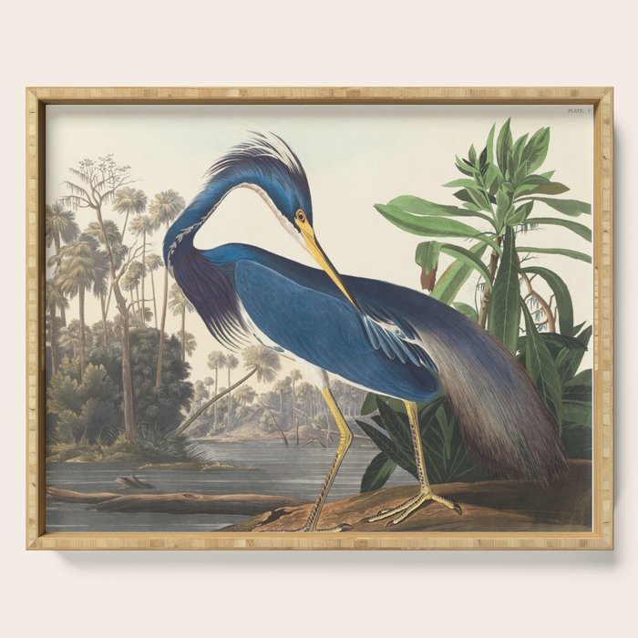 Louisiana Heron, Robert Havell after John James Audubon Serving Tray Gallery Image 1
