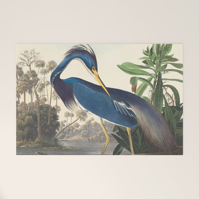Louisiana Heron, Robert Havell after John James Audubon Welcome Mat Gallery Image 1