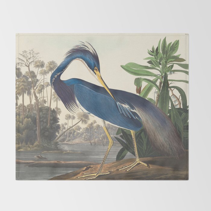 Louisiana Heron, Robert Havell after John James Audubon Throw Blanket Gallery Image 2