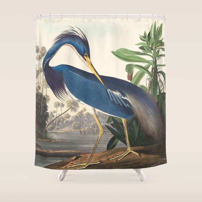 Louisiana Heron, Robert Havell after John James Audubon Shower Curtain Gallery Image 1