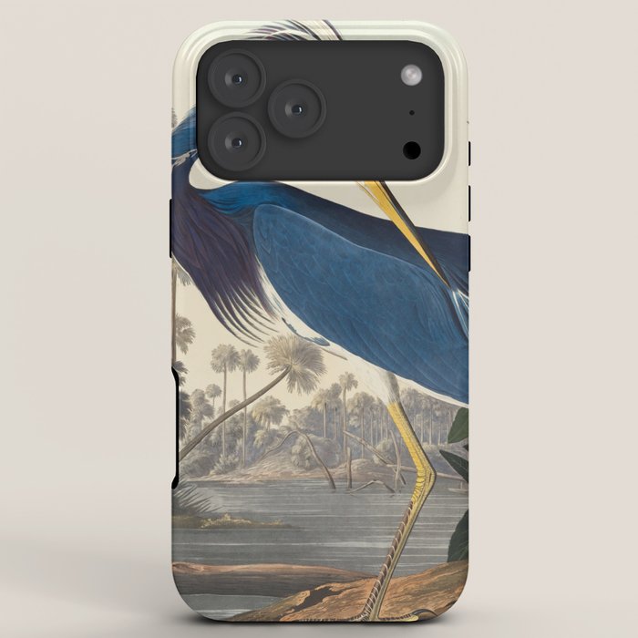 Louisiana Heron, Robert Havell after John James Audubon iPhone Case Gallery Image 8