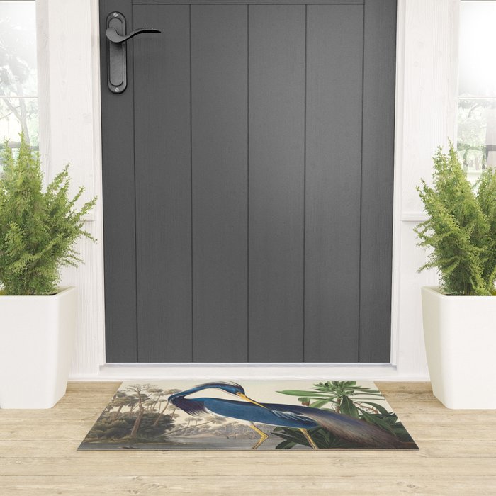 Louisiana Heron, Robert Havell after John James Audubon Welcome Mat Gallery Image 3