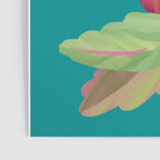 Beets Poster Gallery Image 3