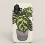 calathea botanical interior plant iPhone Case Gallery Image 1