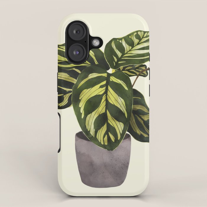 calathea botanical interior plant iPhone Case Gallery Image 1