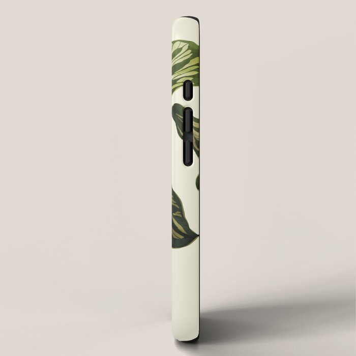 calathea botanical interior plant iPhone Case Gallery Image 2