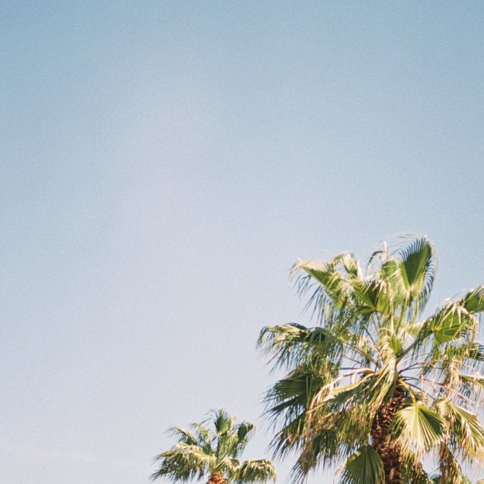 Palmtrees in Barcelona Europe | Blue Sky, Green Palm Trees Tropical vibe Coffee Mug Gallery Image 2