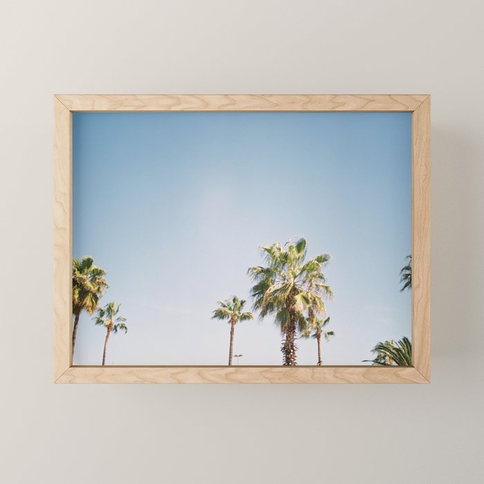 Palmtrees in Barcelona Europe | Blue Sky, Green Palm Trees Tropical vibe Mini Art Print Gallery Image 1