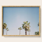 Palmtrees in Barcelona Europe | Blue Sky, Green Palm Trees Tropical vibe Serving Tray Gallery Image 1