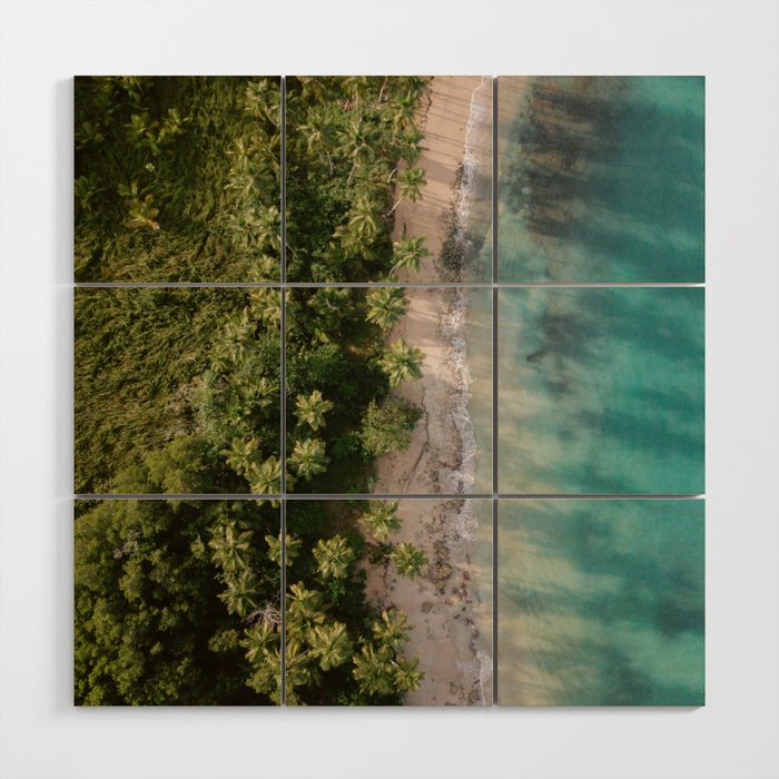 Las Terrenas from above | Beach travel photography Dominican Republic | Drone shot Wood Wall Art Gallery Image 1
