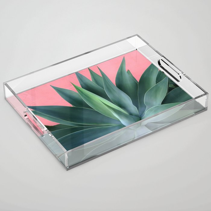 Agave succulent Acrylic Tray Gallery Image 1