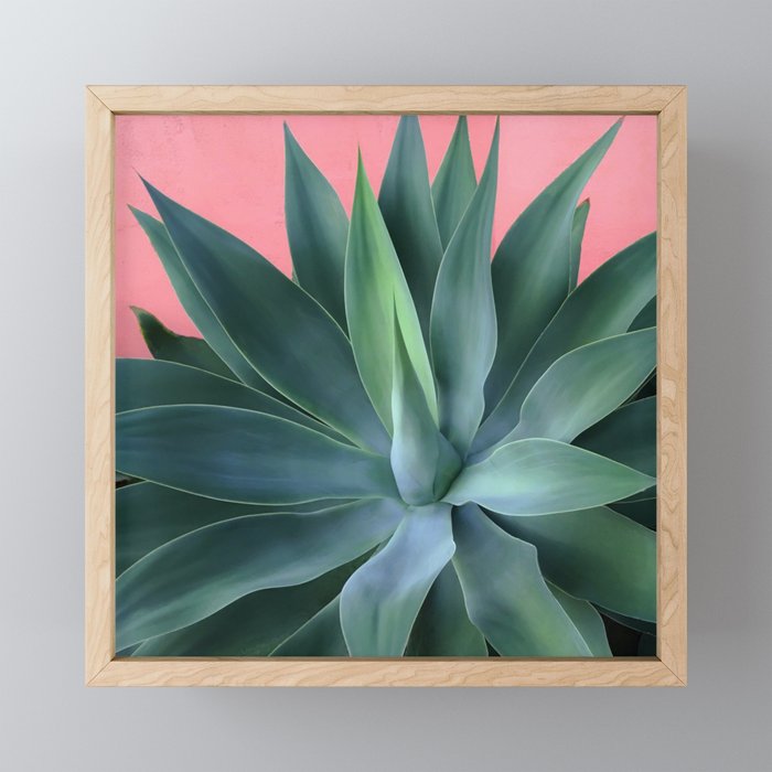 Agave succulent Mini Art Print Gallery Image 1