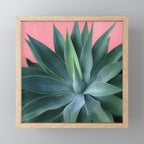 Agave succulent Mini Art Print Gallery Image 1