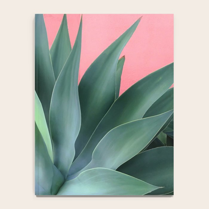 Agave succulent Notebook Gallery Image 4