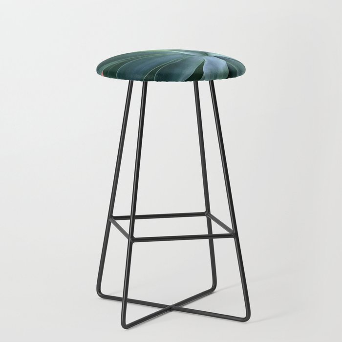 Agave succulent Stool Gallery Image 1
