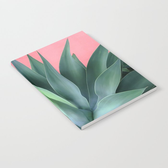 Agave succulent Notebook Gallery Image 2