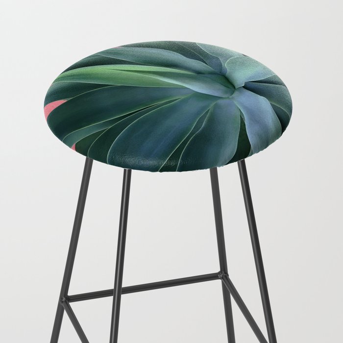 Agave succulent Stool Gallery Image 2