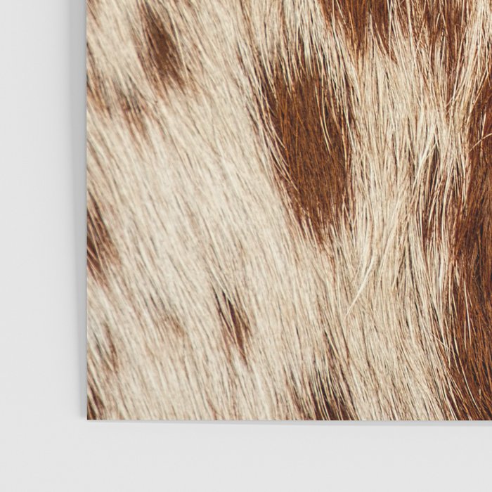 Brown Cowhide, Cow Skin Print Pattern Modern Cowhide Faux Leather Poster Gallery Image 3