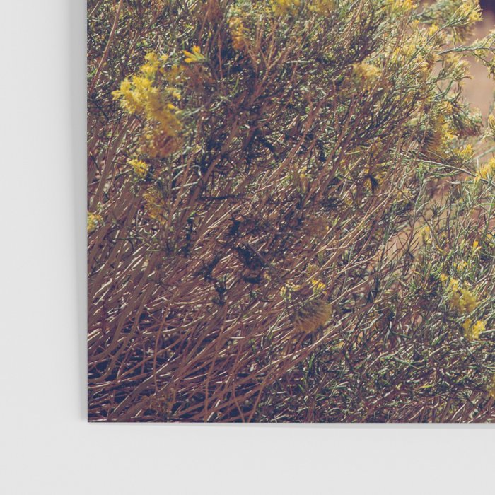 Autumn in New Mexico I Poster Gallery Image 3