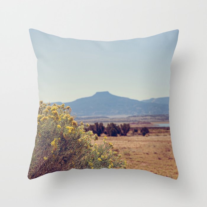 Autumn in New Mexico I Throw Pillow Gallery Image 1