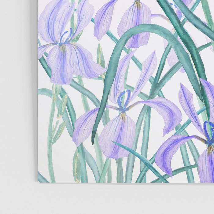 purple iris watercolor Poster Gallery Image 3