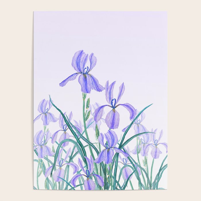 purple iris watercolor Poster Gallery Image 4