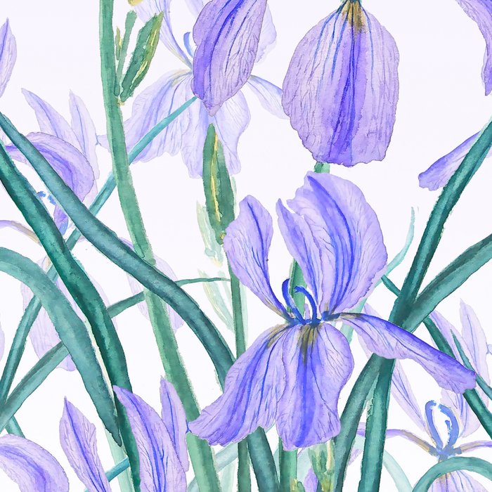 purple iris watercolor Coffee Mug Gallery Image 2