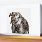 Owl Wall Mural Gallery Image 2