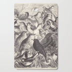 Birds from "Our Feathered Companions" by Thomas Jackson, 1870 (benefitting the Audubon Society) Cutting Board Gallery Image 1