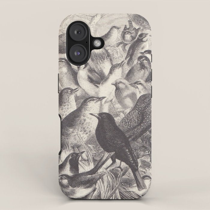 Birds from "Our Feathered Companions" by Thomas Jackson, 1870 (benefitting the Audubon Society) iPhone Case Gallery Image 1