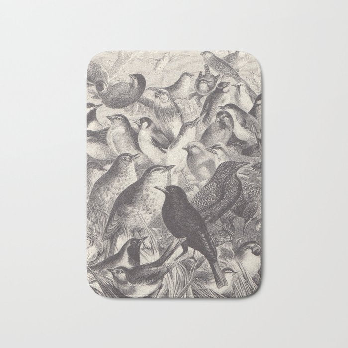 Birds from "Our Feathered Companions" by Thomas Jackson, 1870 (benefitting the Audubon Society) Bath Mat Gallery Image 1