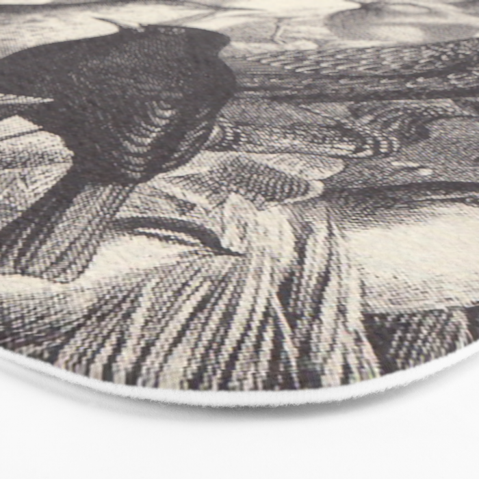 Birds from "Our Feathered Companions" by Thomas Jackson, 1870 (benefitting the Audubon Society) Bath Mat Gallery Image 3