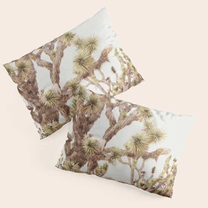 Pale Desert 2 - Joshua Tree Cactus Landscape Photography Pillow Sham Gallery Image 1