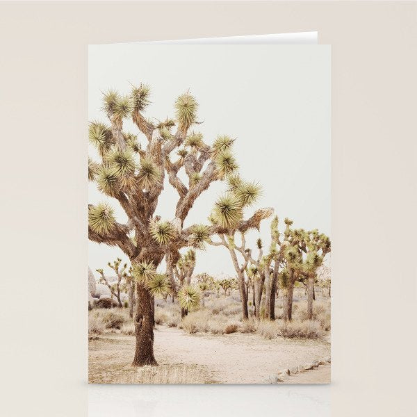 Pale Desert 2 - Joshua Tree Cactus Landscape Photography Stationery Card Gallery Image 1