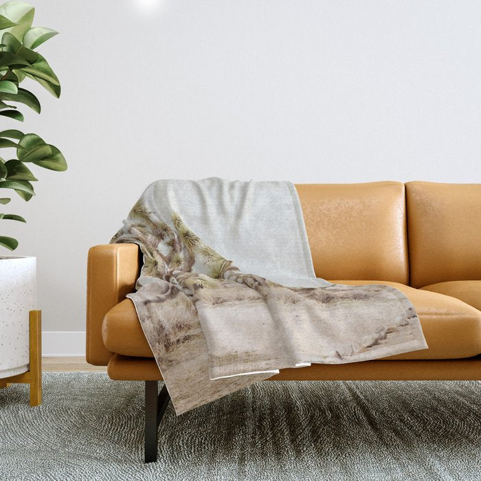 Pale Desert 2 - Joshua Tree Cactus Landscape Photography Throw Blanket Gallery Image 1