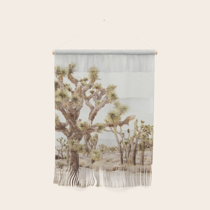 Pale Desert 2 - Joshua Tree Cactus Landscape Photography Wall Hanging Gallery Image 1