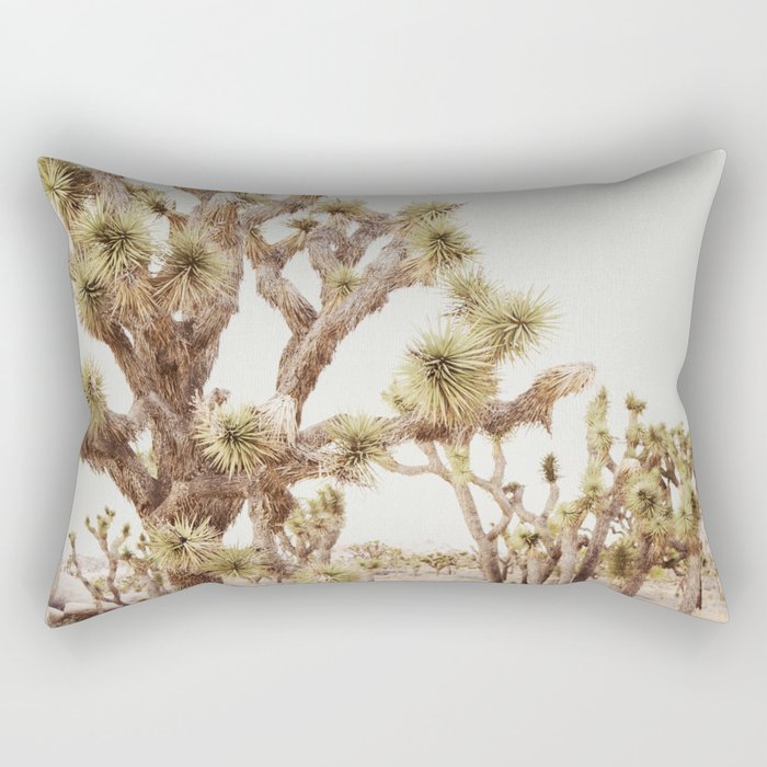 Pale Desert 2 - Joshua Tree Cactus Landscape Photography Rectangular Pillow Gallery Image 2