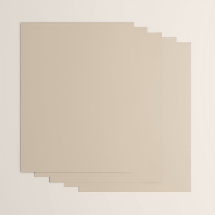 Mushroom Beige Solid Colour Wrapping Paper Gallery Image 3