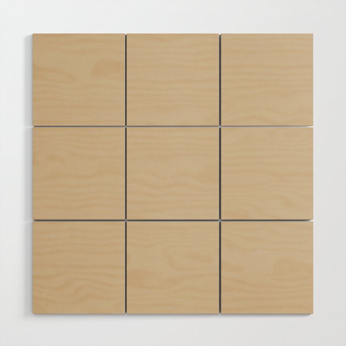 Mushroom Beige Solid Colour Wood Wall Art Gallery Image 1