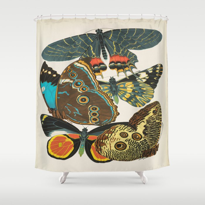 Vintage Butterfly Illustration EA Seguy Papillon Shower Curtain Gallery Image 1