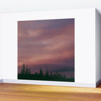 Pink Skies Wall Mural Gallery Image 2