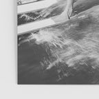 Water witches water skiing hilarious funny humorous black and white vintage photograph Poster Gallery Image 3