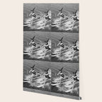 Water witches water skiing hilarious funny humorous black and white vintage photograph Wallpaper Gallery Image 2