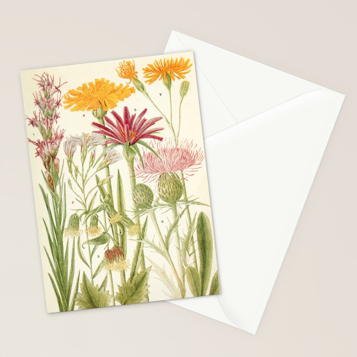 Wildflowers from "Rocky Mountain Flowers" (1914) by Edith Clements (benefitting The Nature Conservancy) Stationery Card Gallery Image 2