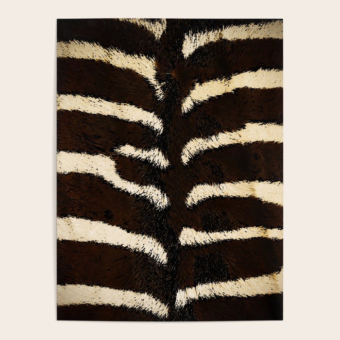 Zebra #decor #society6 #buyart Poster Gallery Image 4