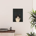 Tuxedo Cat Portrait Poster Gallery Image 2