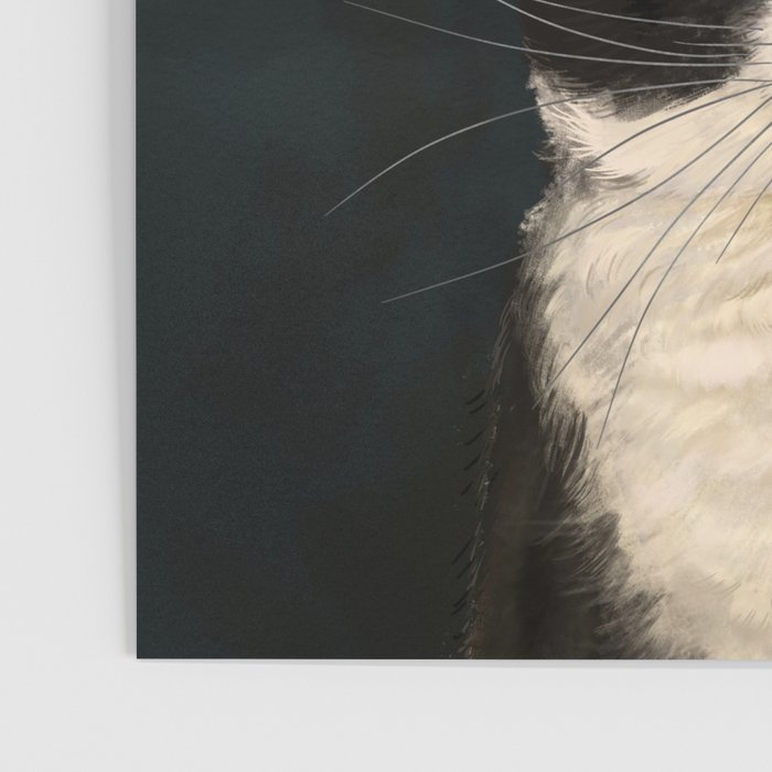 Tuxedo Cat Portrait Poster Gallery Image 3